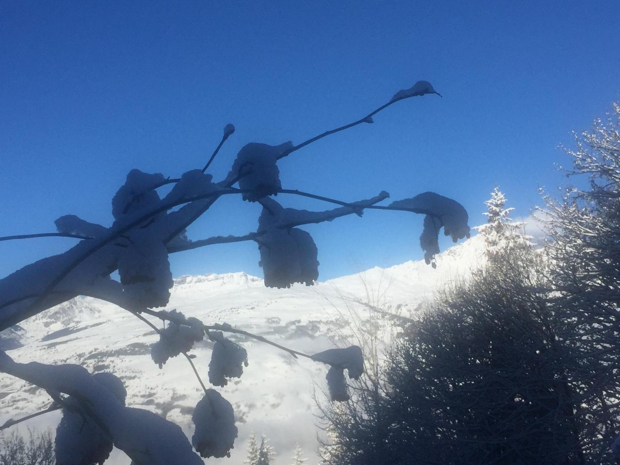 Les Arcs 1800 Apartman Bourg-Saint-Maurice Kültér fotó