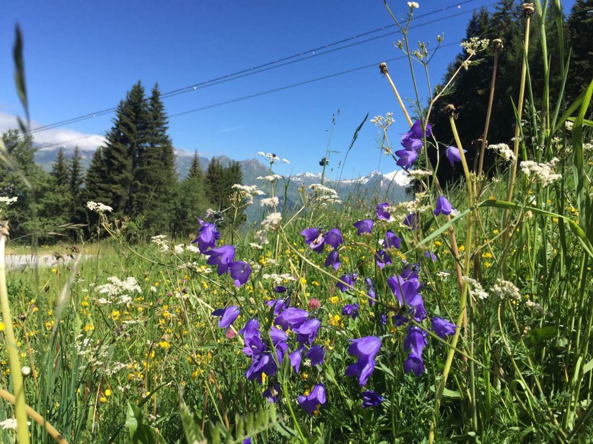 Les Arcs 1800 Apartman Bourg-Saint-Maurice Kültér fotó